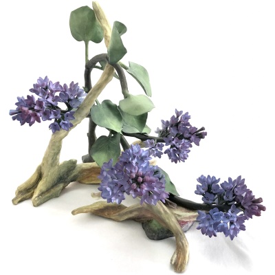 Connoisseur of Malvern Lilac Branch