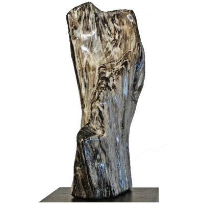 Prehistoric Petrified Rosewood on Pedest