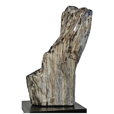 Prehistoric Petrified Rosewood on Pedest