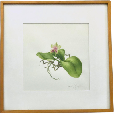 Jessica Tcherepnine Orchid Watercolor